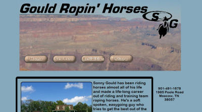 Gould Ropin Horses